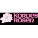 W. Kordes Söhne ist einer der...