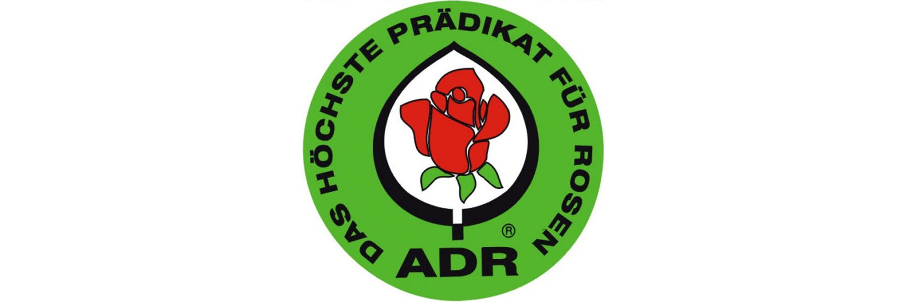 ADR Rosen Shop ADR Rosen online kaufen im Gartencenter Bartels