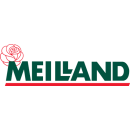 Meilland